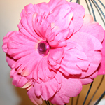 Fuchsia Cotton/Fuchsia Custom Petals