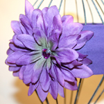 Purple Cotton/Purple Burst