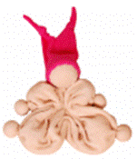 18.33.6 Comforter Cozy Pink